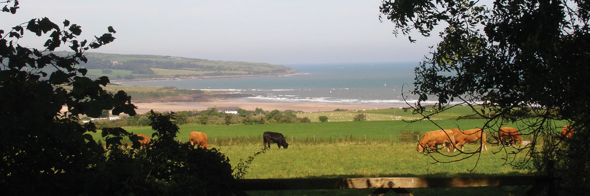 View from Plas Lligwy